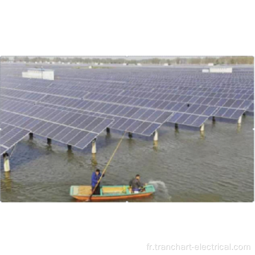 Plant d&#39;électricité à l&#39;échelle de l&#39;échelle de cas réussie